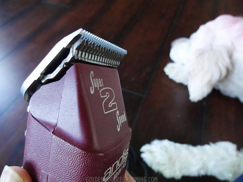 dog grooming kit, Goldendoodle Grooming Tools - Andis professional grade pet clipper